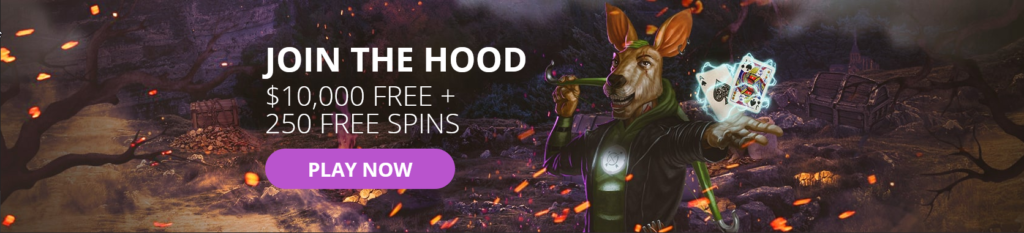 robin roo casino bonus offer 2021